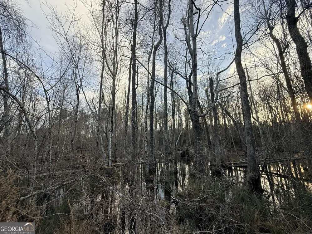 2 Powell School RD Lumber City, GA 31549