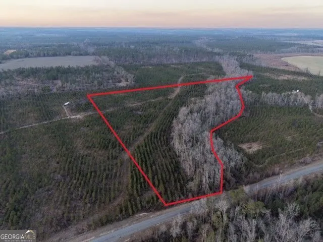 4 Powell School RD Lumber City, GA 31549
