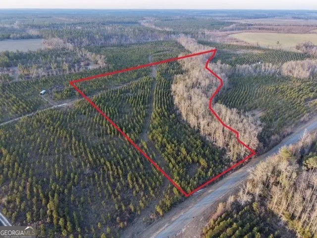 4 Powell School RD Lumber City, GA 31549
