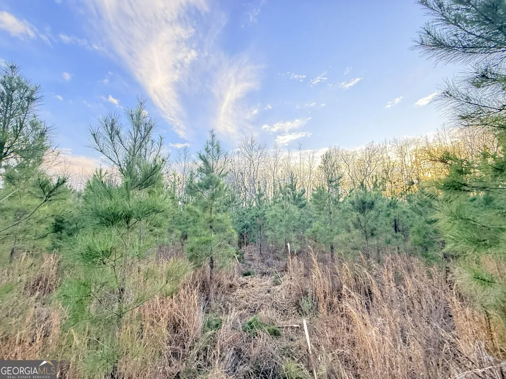4 Powell School RD Lumber City, GA 31549