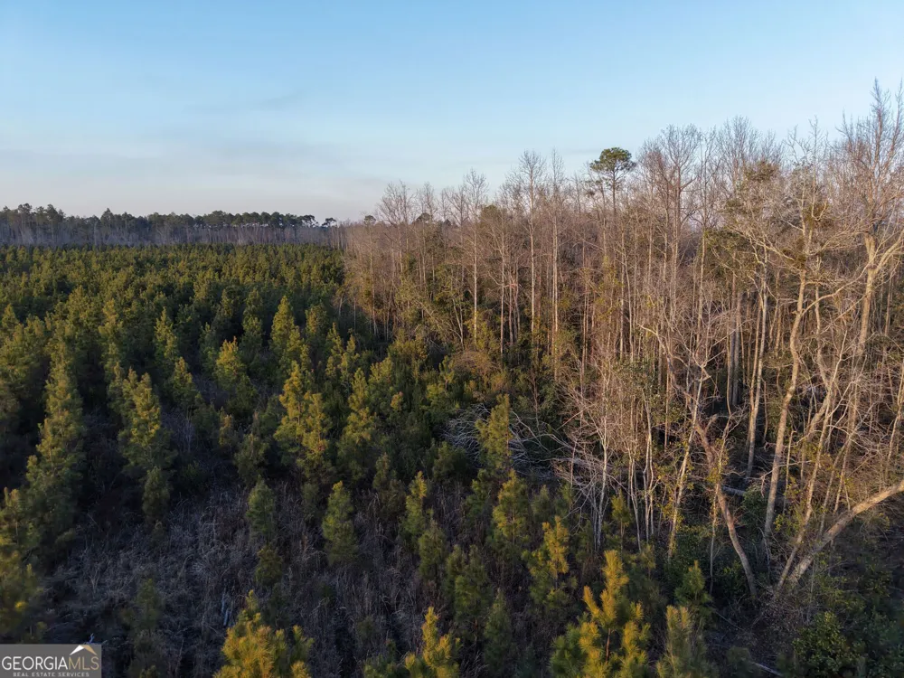 4 Powell School RD Lumber City, GA 31549