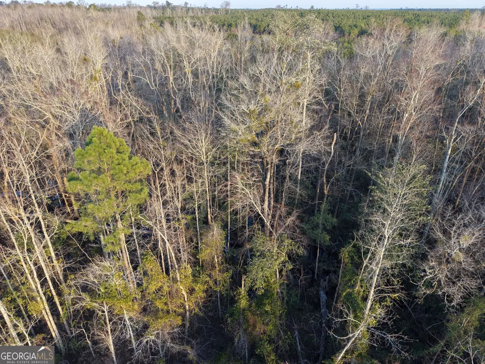 4 Powell School RD Lumber City, GA 31549