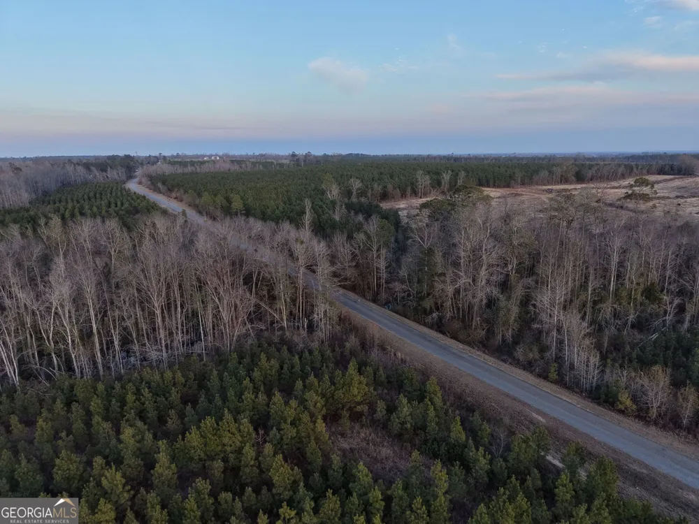 4 Powell School RD Lumber City, GA 31549