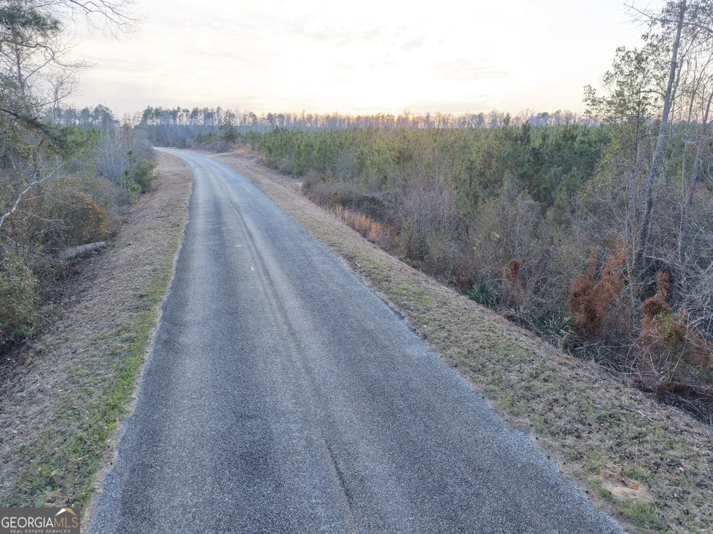 4 Powell School RD Lumber City, GA 31549