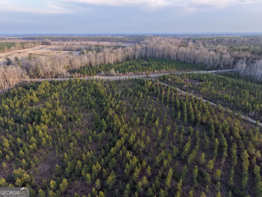 4 Powell School RD Lumber City, GA 31549