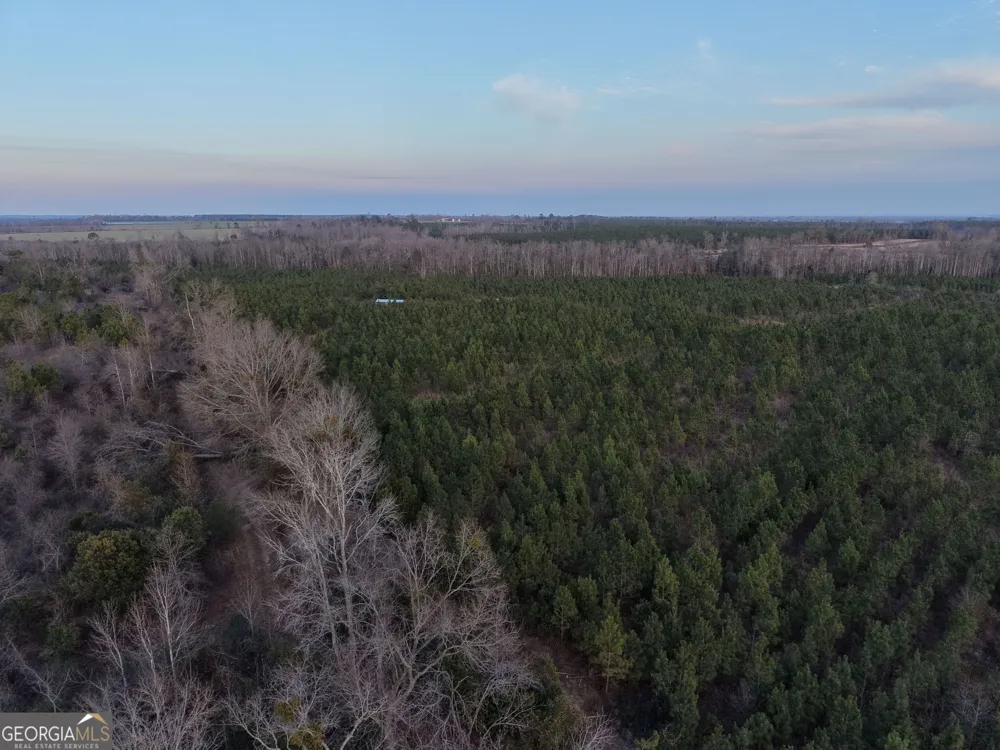 4 Powell School RD Lumber City, GA 31549