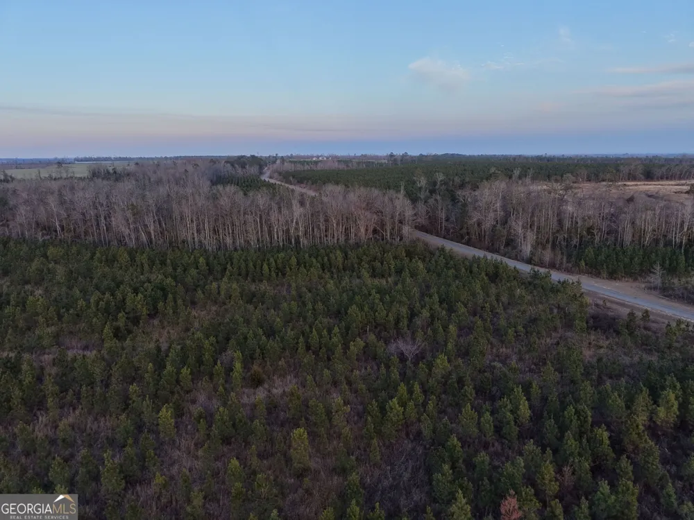 4 Powell School RD Lumber City, GA 31549