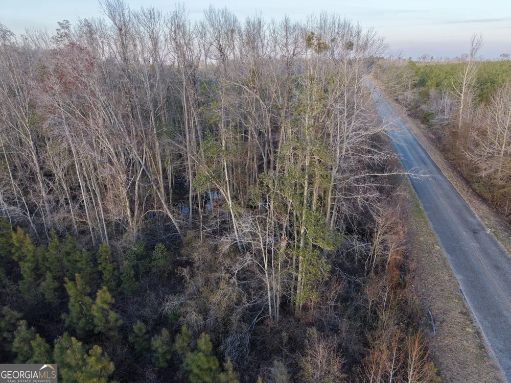 4 Powell School RD Lumber City, GA 31549