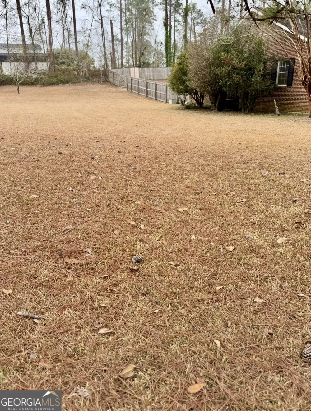 805 Mitchell DR Vidalia, GA 30474