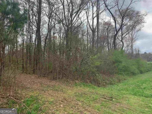 1156 County Line RD Griffin, GA 30224