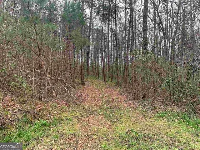 1156 County Line RD Griffin, GA 30224
