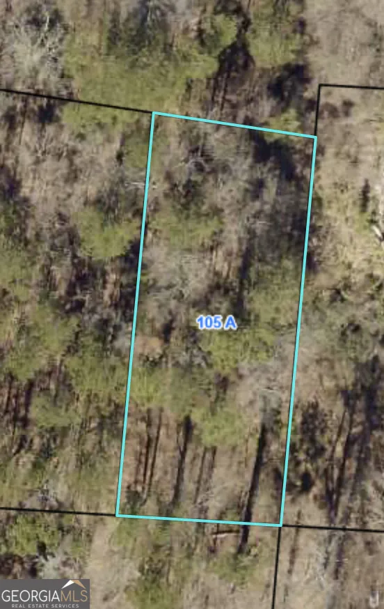 105 A Junior Hill RD NE Milledgeville, GA 31061
