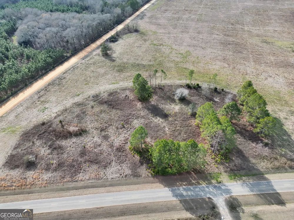 0 Eagle Pond / Old Smithville RD Leesburg, GA 31763