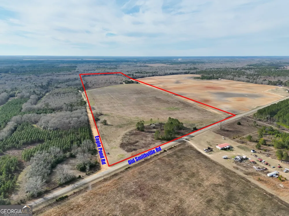 0 Eagle Pond / Old Smithville RD Leesburg, GA 31763