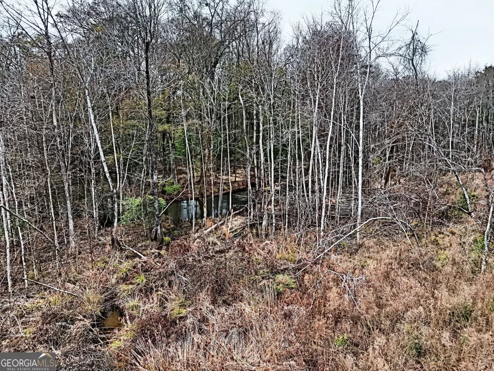 0 Eagle Pond / Old Smithville RD Leesburg, GA 31763