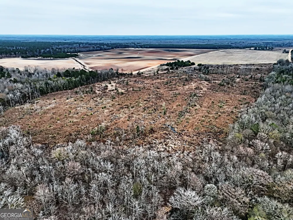0 Eagle Pond / Old Smithville RD Leesburg, GA 31763