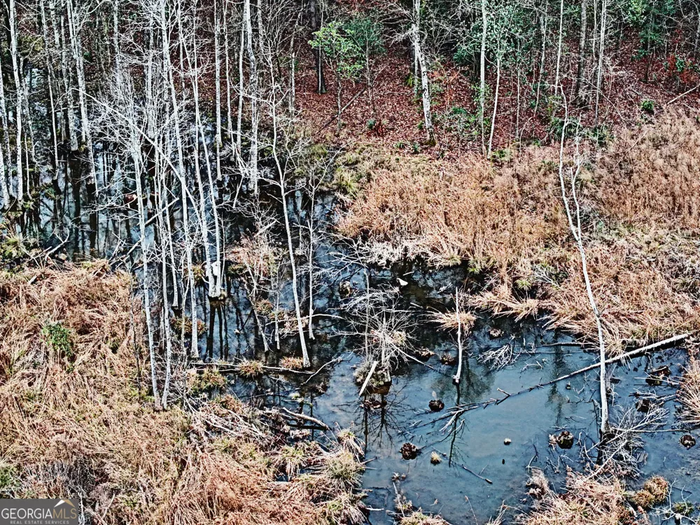 0 Eagle Pond / Old Smithville RD Leesburg, GA 31763
