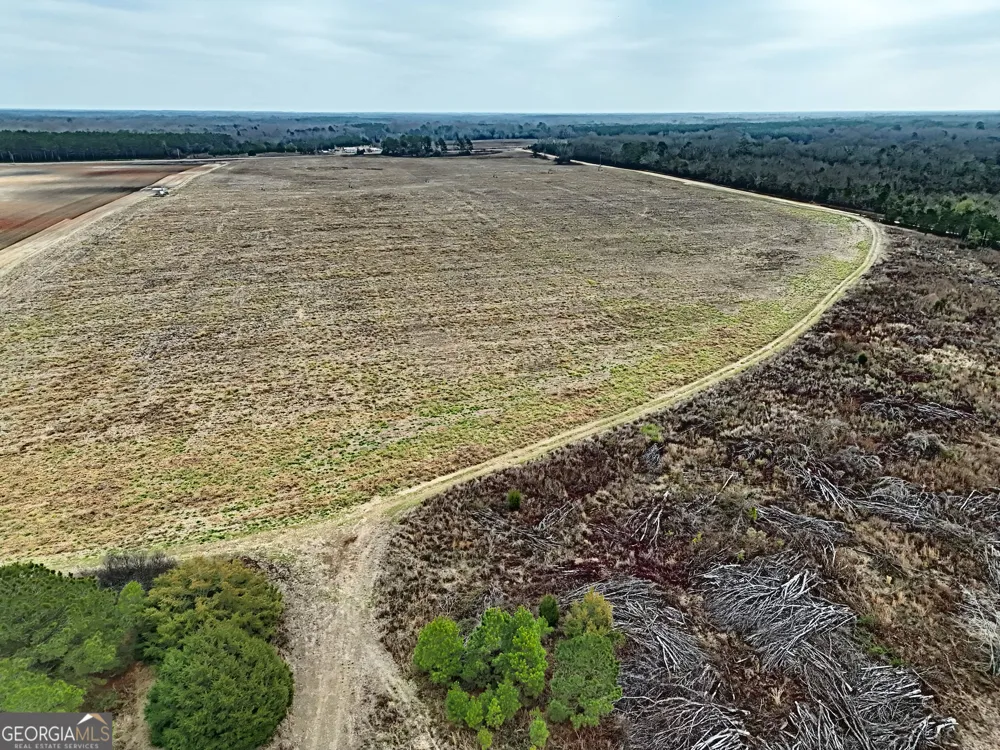 0 Eagle Pond / Old Smithville RD Leesburg, GA 31763