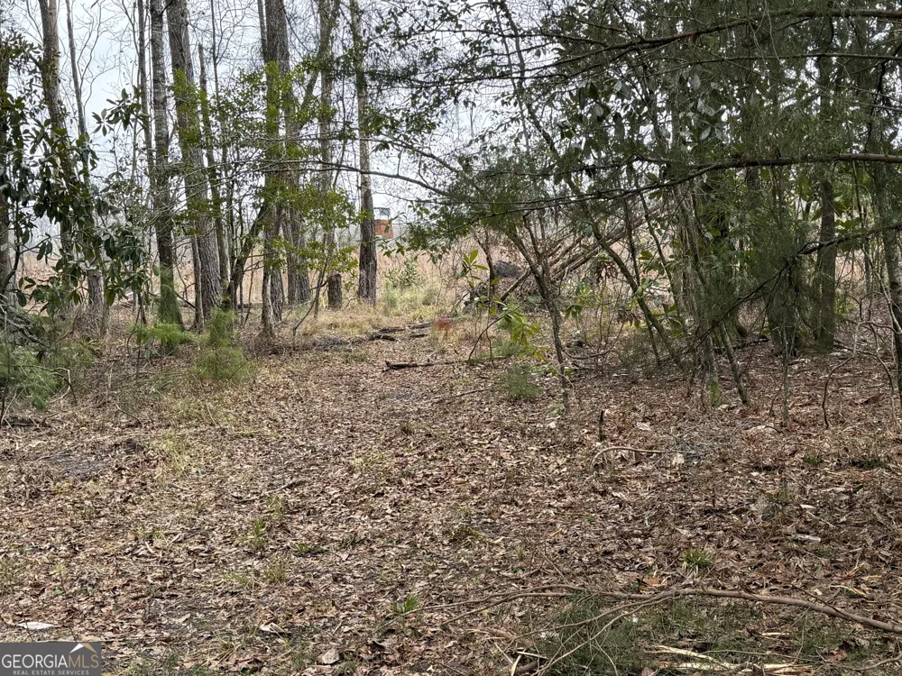 0 Eagle Pond / Old Smithville RD Leesburg, GA 31763