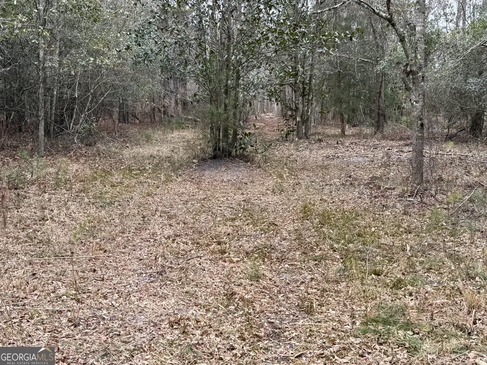 0 Eagle Pond / Old Smithville RD Leesburg, GA 31763