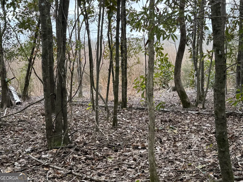 0 Eagle Pond / Old Smithville RD Leesburg, GA 31763