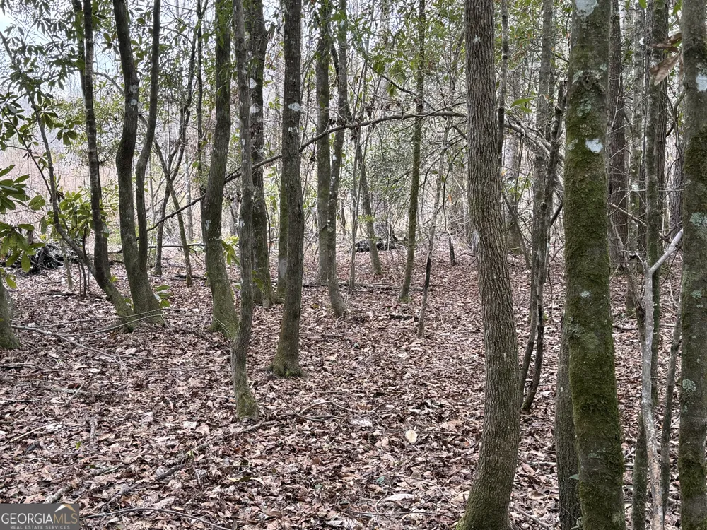 0 Eagle Pond / Old Smithville RD Leesburg, GA 31763