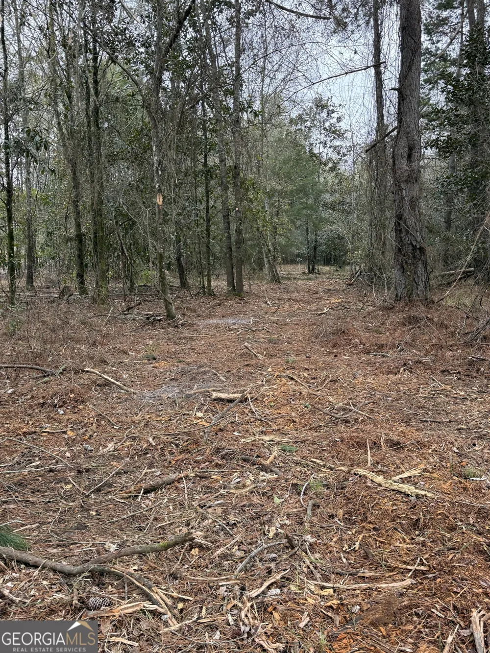 0 Eagle Pond / Old Smithville RD Leesburg, GA 31763