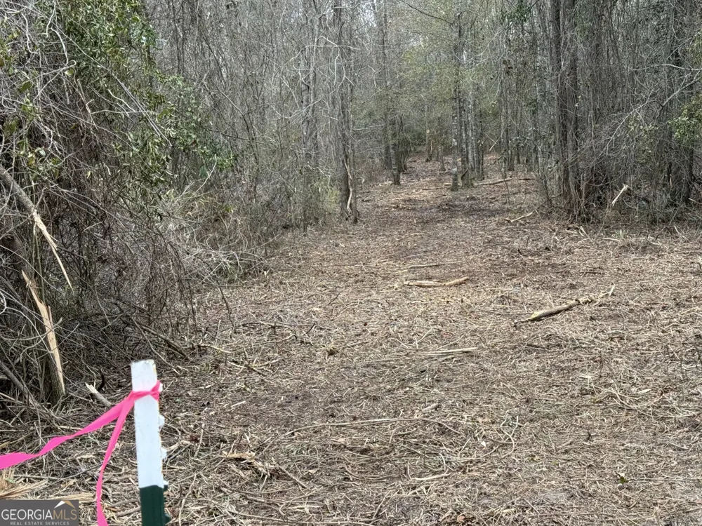 0 Eagle Pond / Old Smithville RD Leesburg, GA 31763