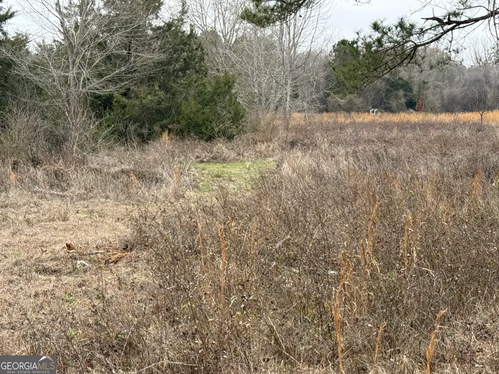 0 Eagle Pond / Old Smithville RD Leesburg, GA 31763