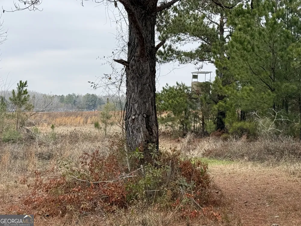 0 Eagle Pond / Old Smithville RD Leesburg, GA 31763