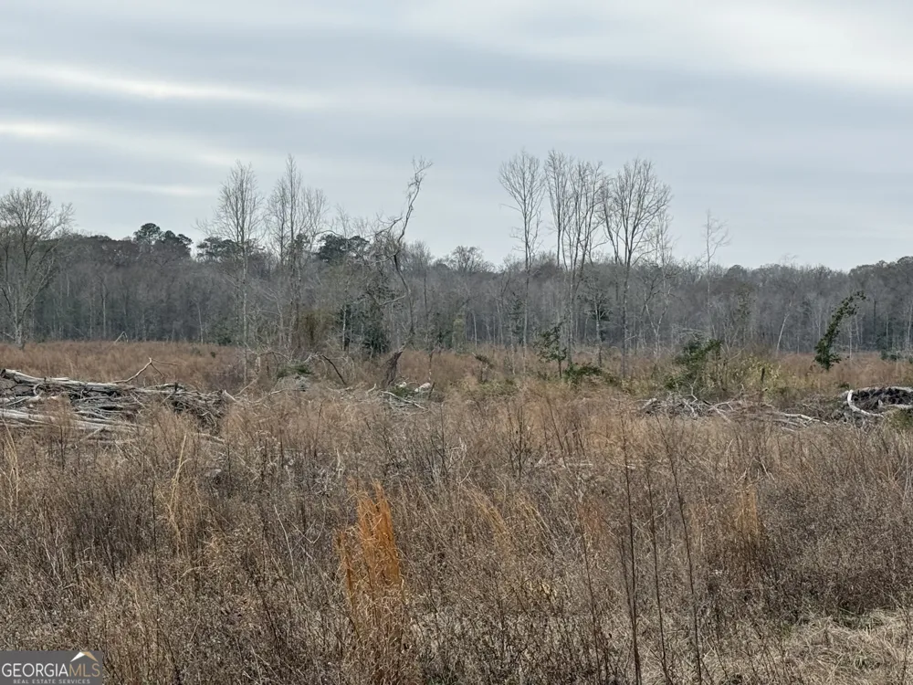 0 Eagle Pond / Old Smithville RD Leesburg, GA 31763