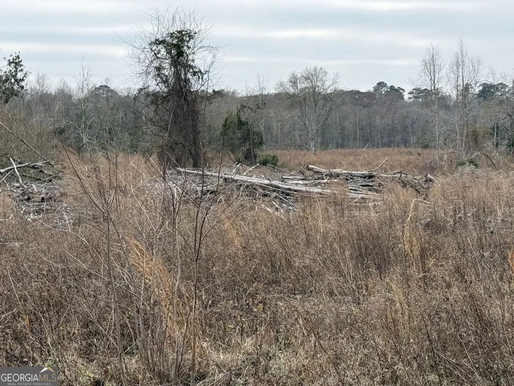 0 Eagle Pond / Old Smithville RD Leesburg, GA 31763