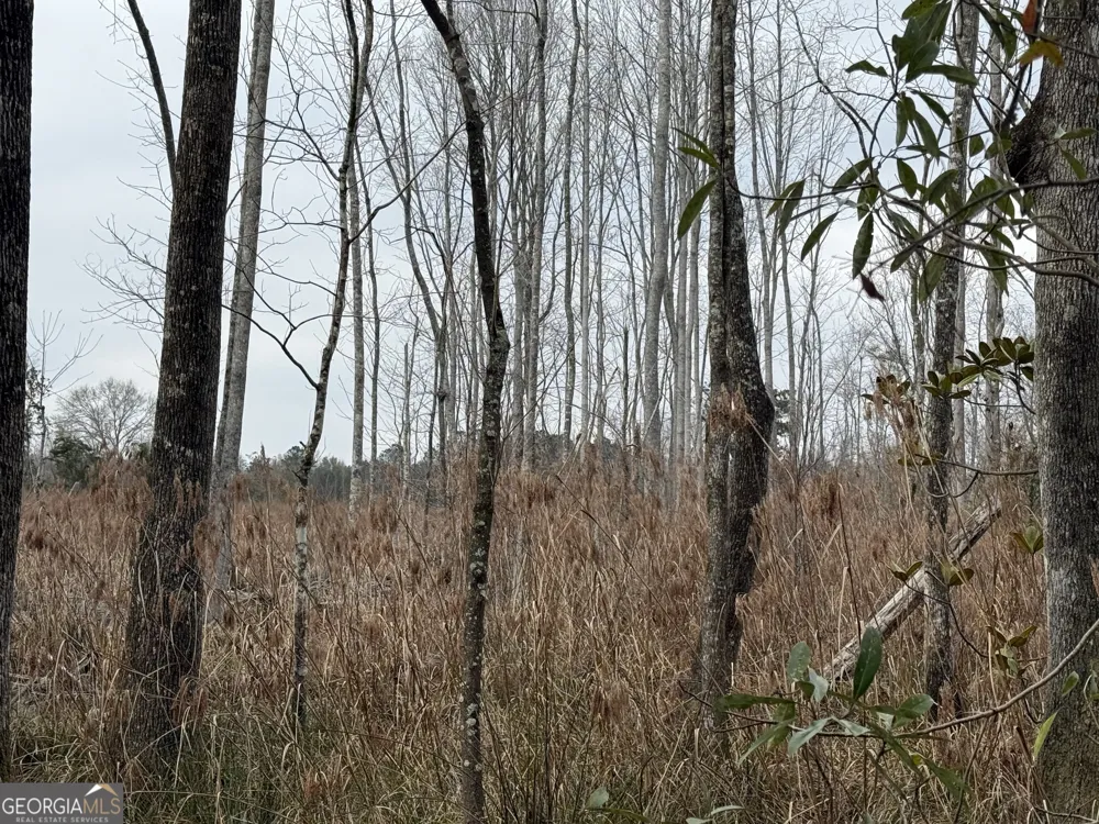 0 Eagle Pond / Old Smithville RD Leesburg, GA 31763