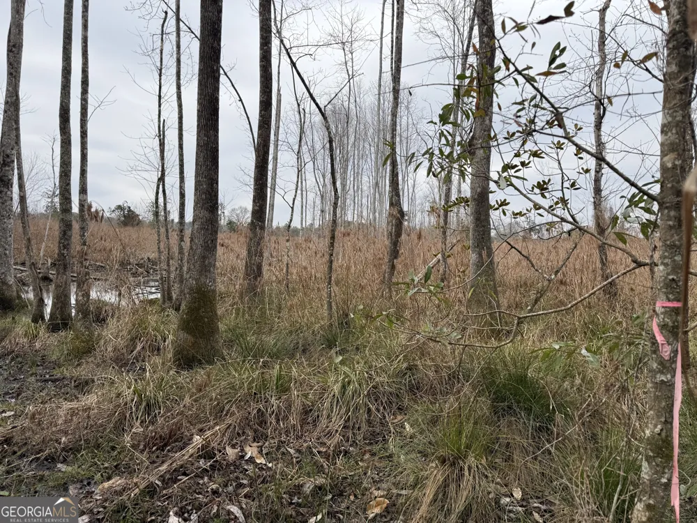0 Eagle Pond / Old Smithville RD Leesburg, GA 31763