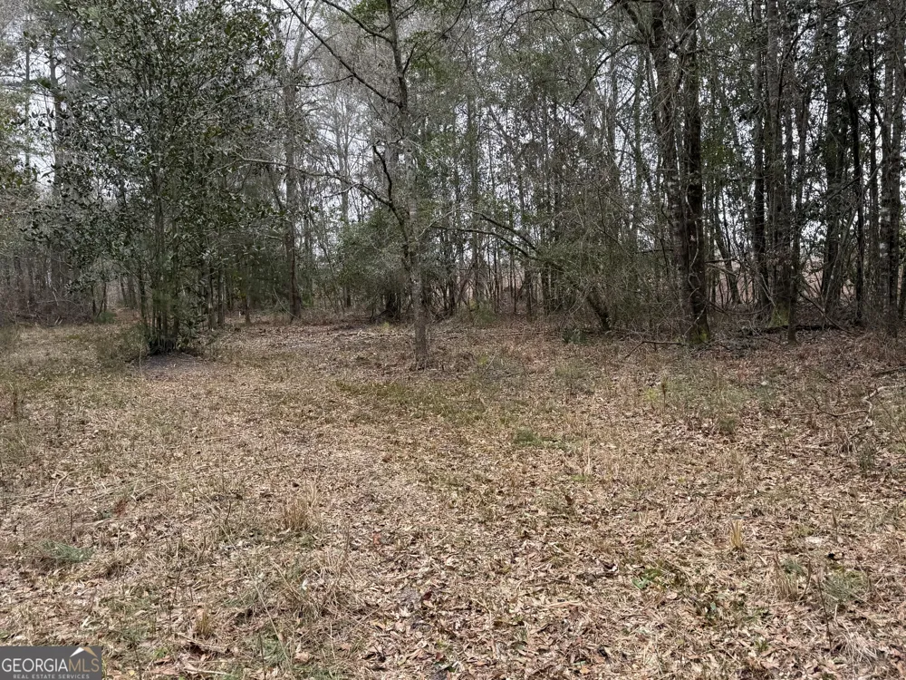 0 Eagle Pond / Old Smithville RD Leesburg, GA 31763