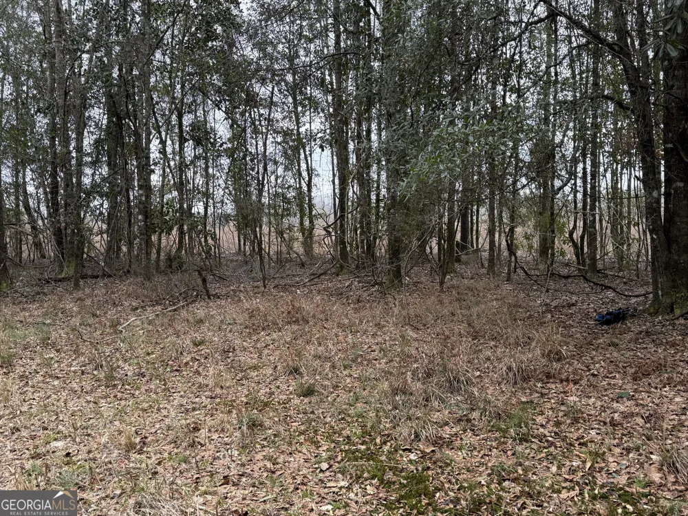 0 Eagle Pond / Old Smithville RD Leesburg, GA 31763