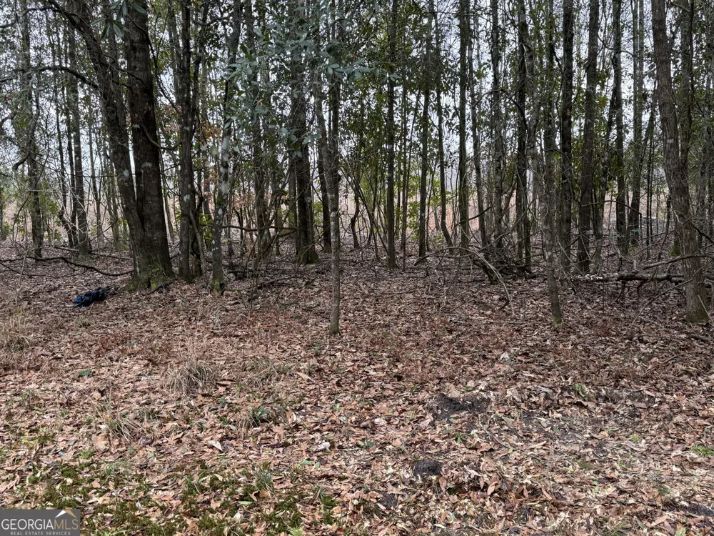 0 Eagle Pond / Old Smithville RD Leesburg, GA 31763