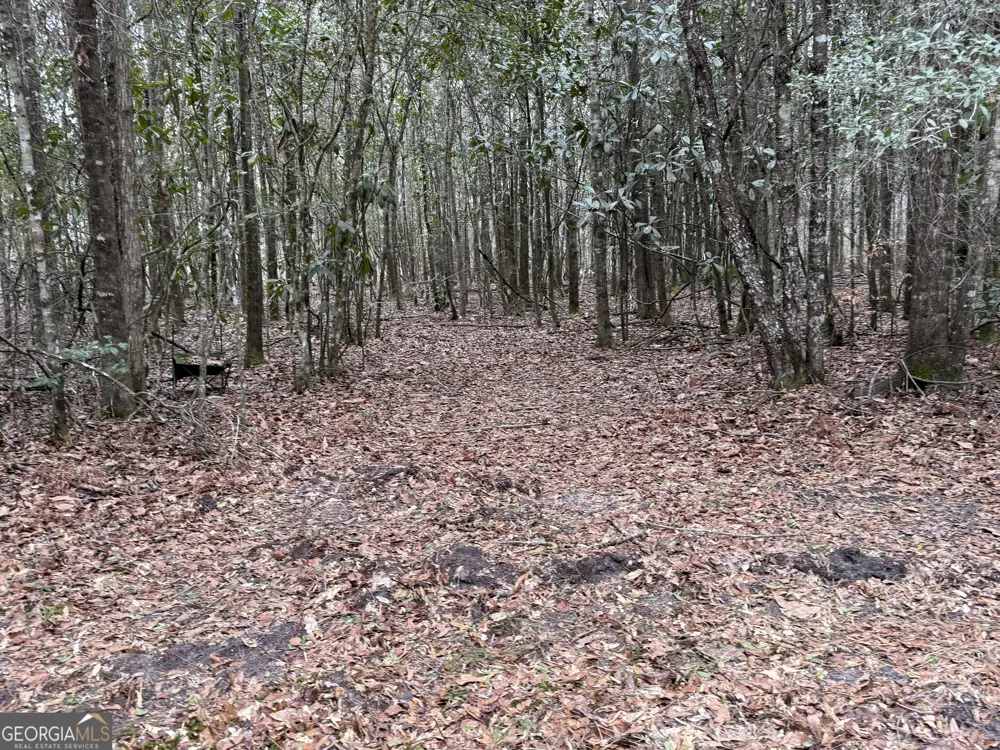 0 Eagle Pond / Old Smithville RD Leesburg, GA 31763