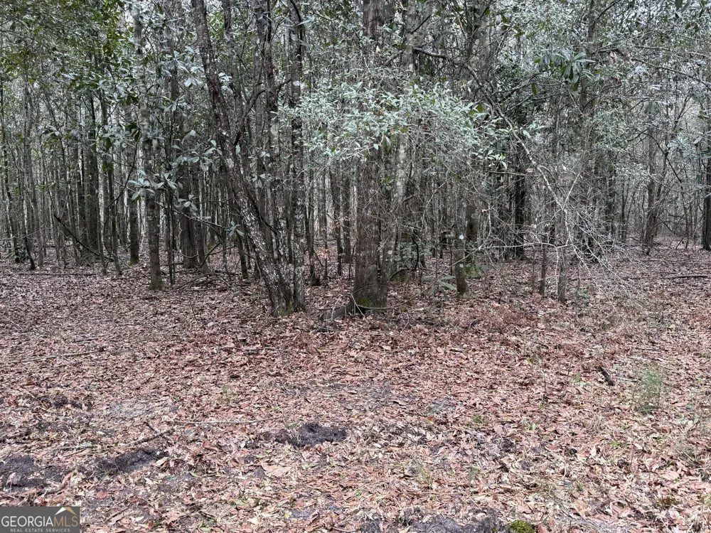 0 Eagle Pond / Old Smithville RD Leesburg, GA 31763