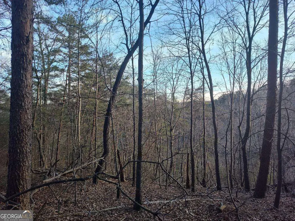 1058 Mayfield LN Ranger, GA 30734