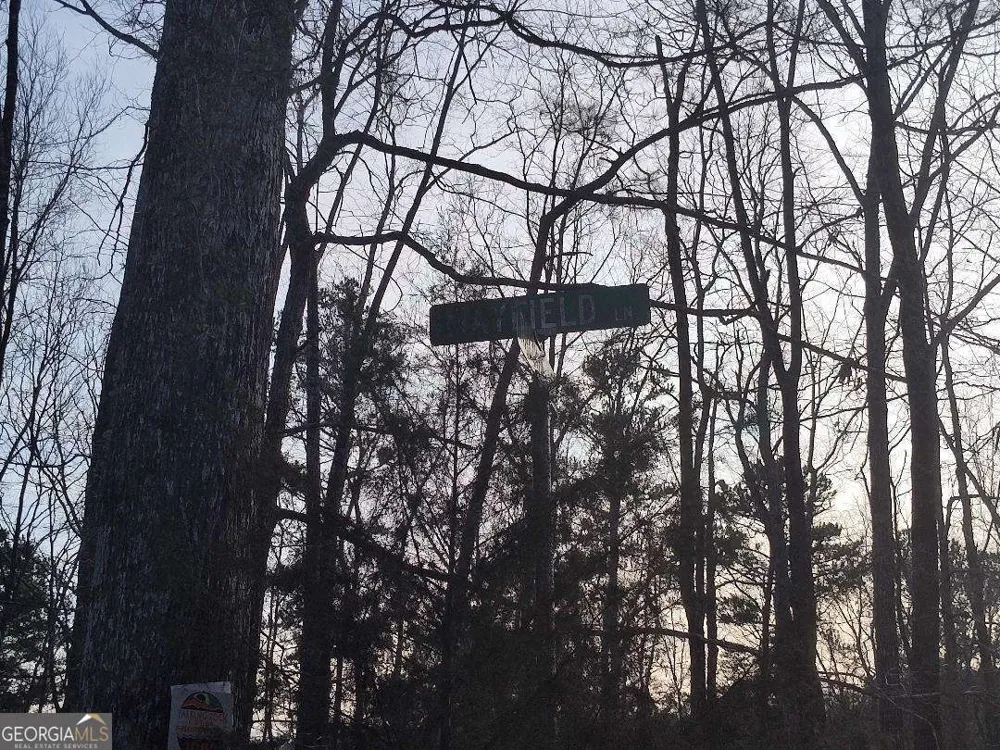 1058 Mayfield LN Ranger, GA 30734