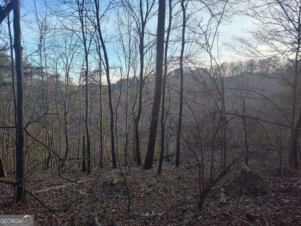 1058 Mayfield LN Ranger, GA 30734