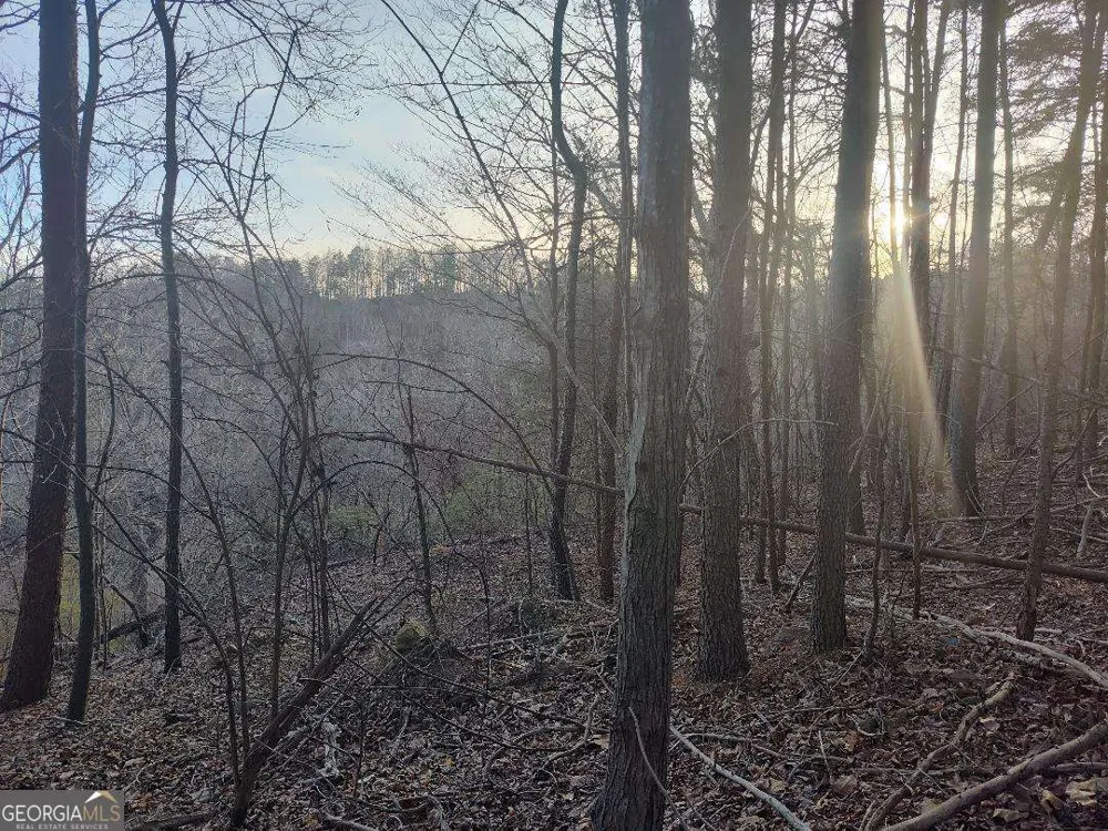 1058 Mayfield LN Ranger, GA 30734