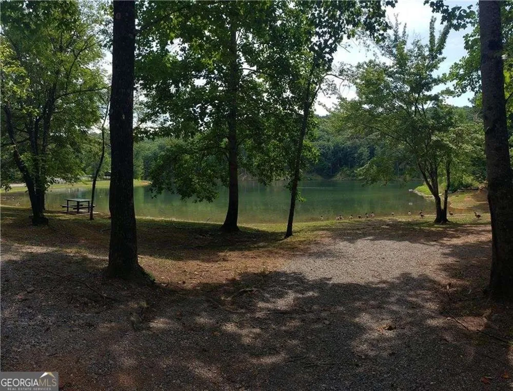 1058 Mayfield LN Ranger, GA 30734