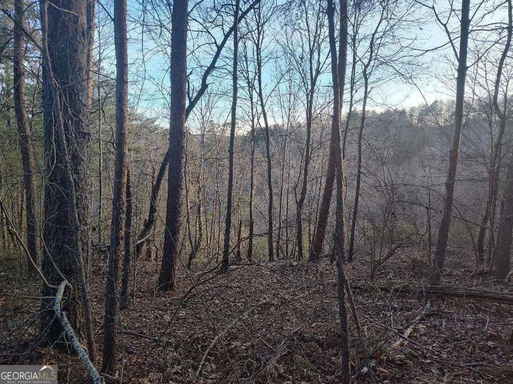 1058 Mayfield LN Ranger, GA 30734