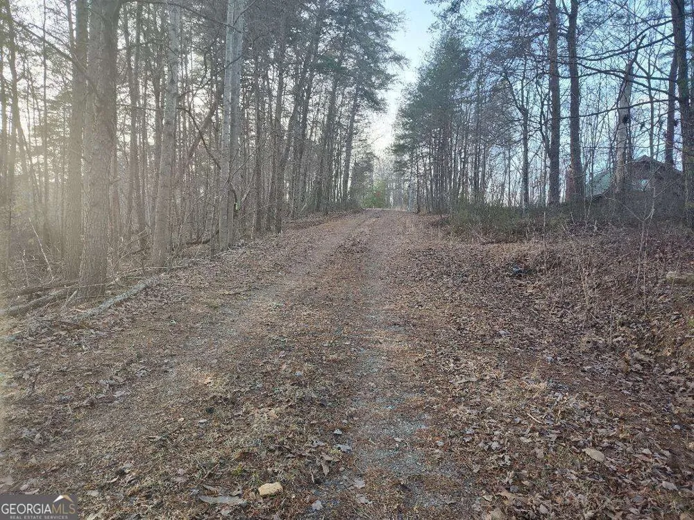 1058 Mayfield LN Ranger, GA 30734