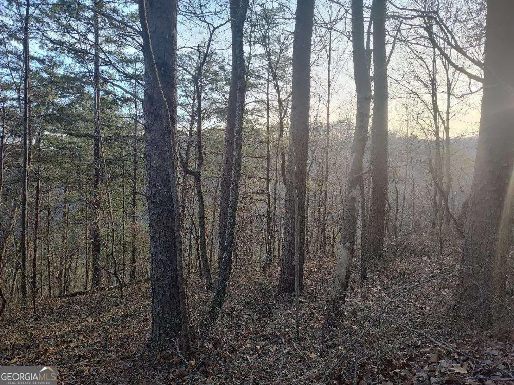 1058 Mayfield LN Ranger, GA 30734