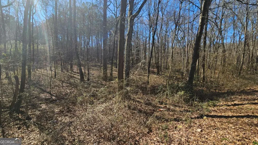 0 Cook DR Ellenwood, GA 30294