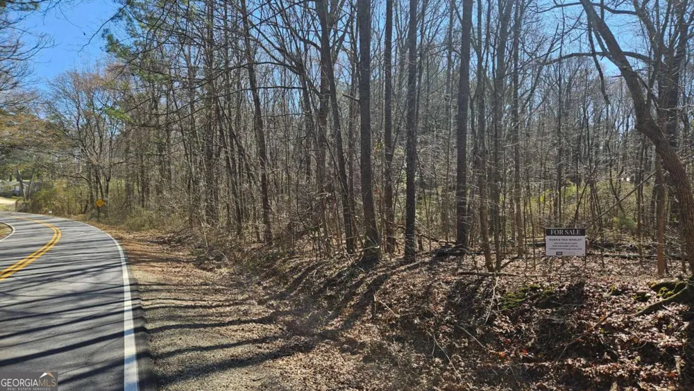 0 Cook DR Ellenwood, GA 30294