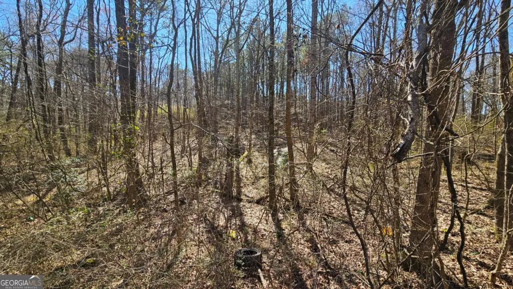 0 Cook DR Ellenwood, GA 30294